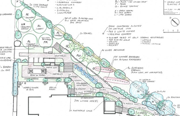 Japanese Garden Inspired Edible Landscape 