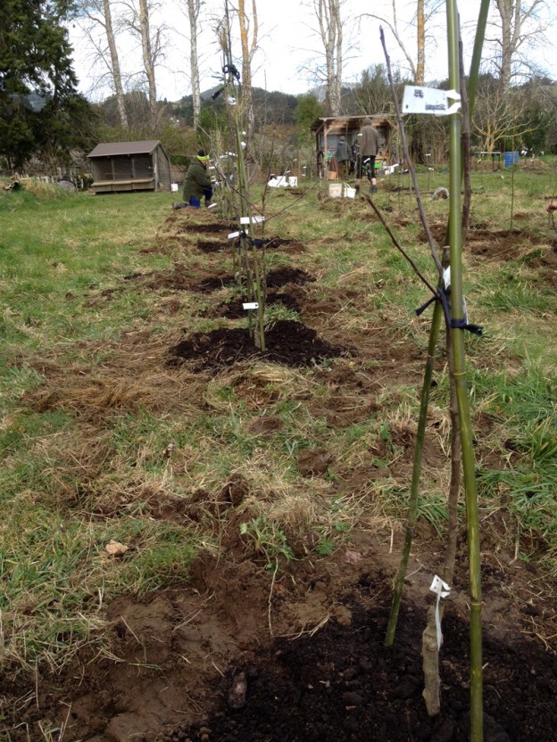 Habitate Holistic Orchard | Habitate - Edible Habitats